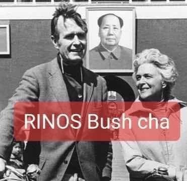 Bush Rinos